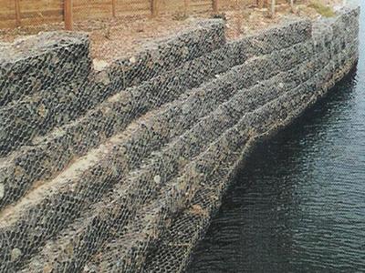 高爾凡雷諾護墊