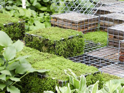 電焊石籠網(wǎng)園林工程案例